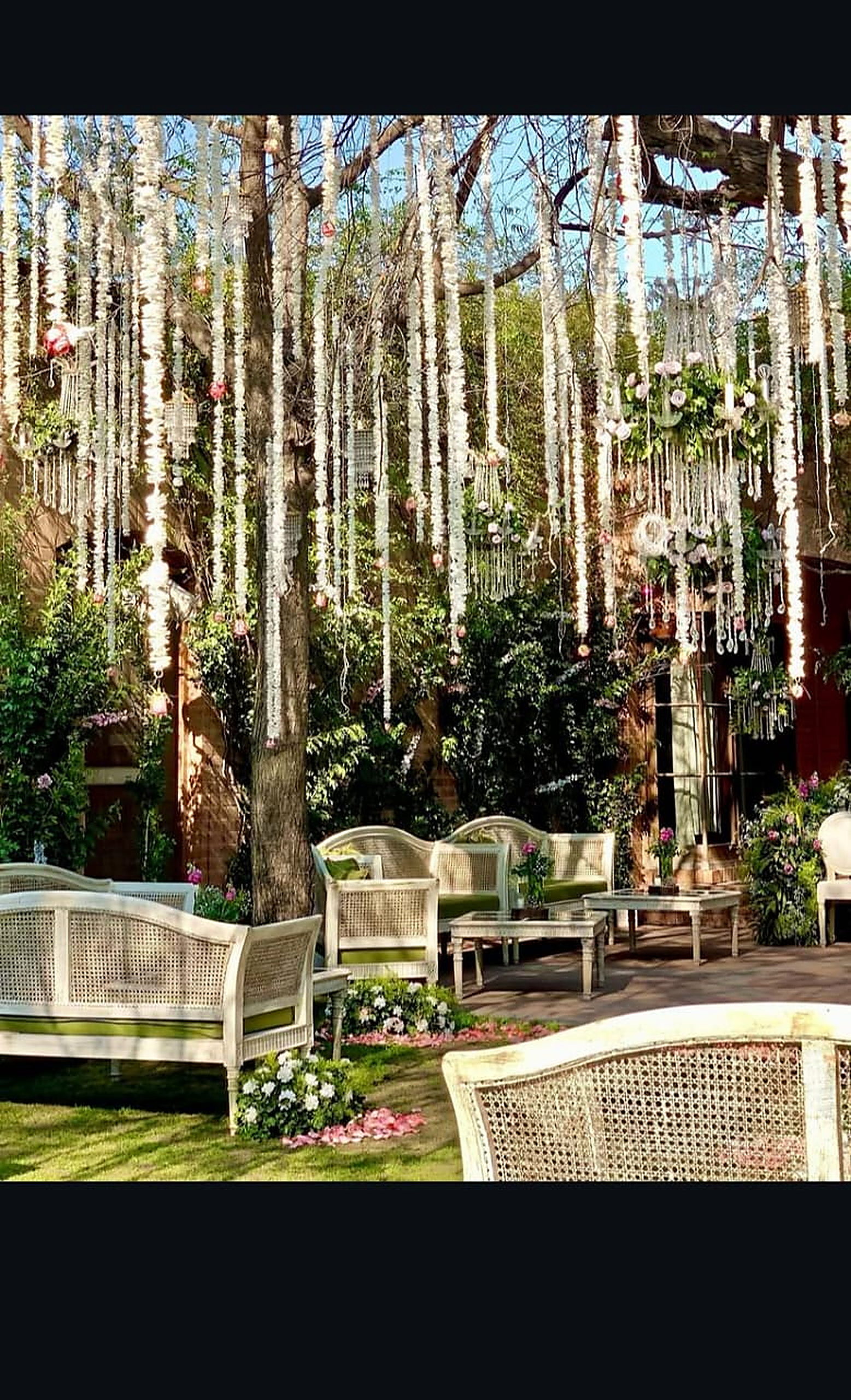 White cane lounge chairs set among slender lit trees