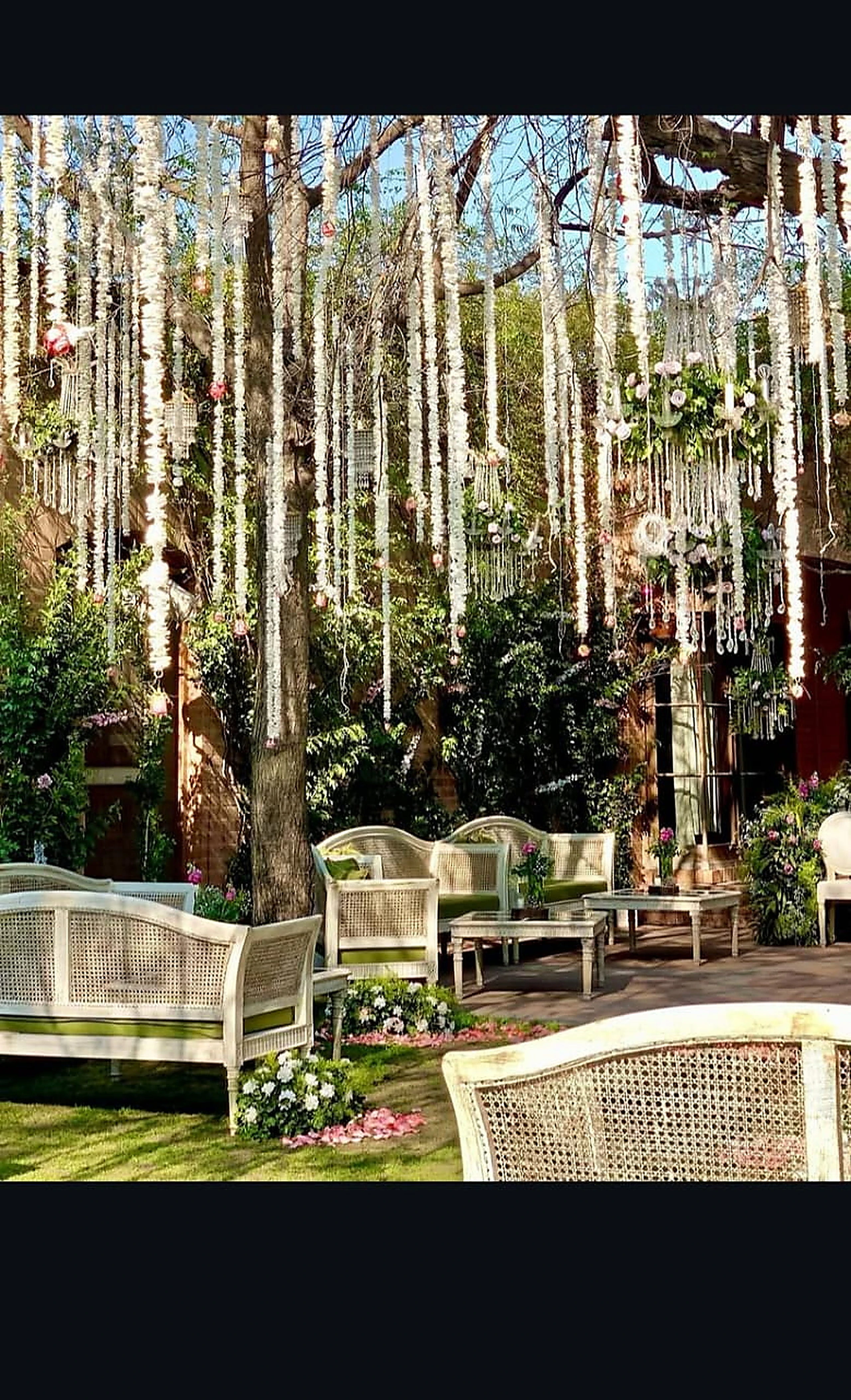 White cane lounge chairs set among slender lit trees